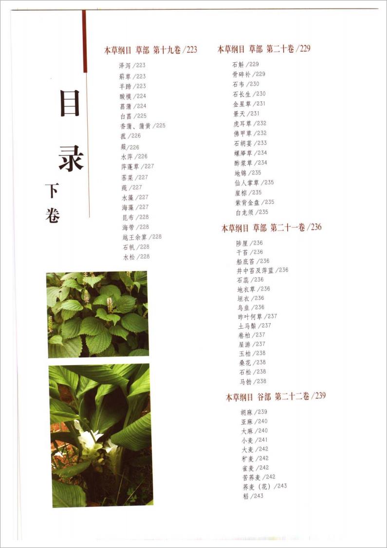 本草纲目彩色图鉴（下卷）256页.pdf